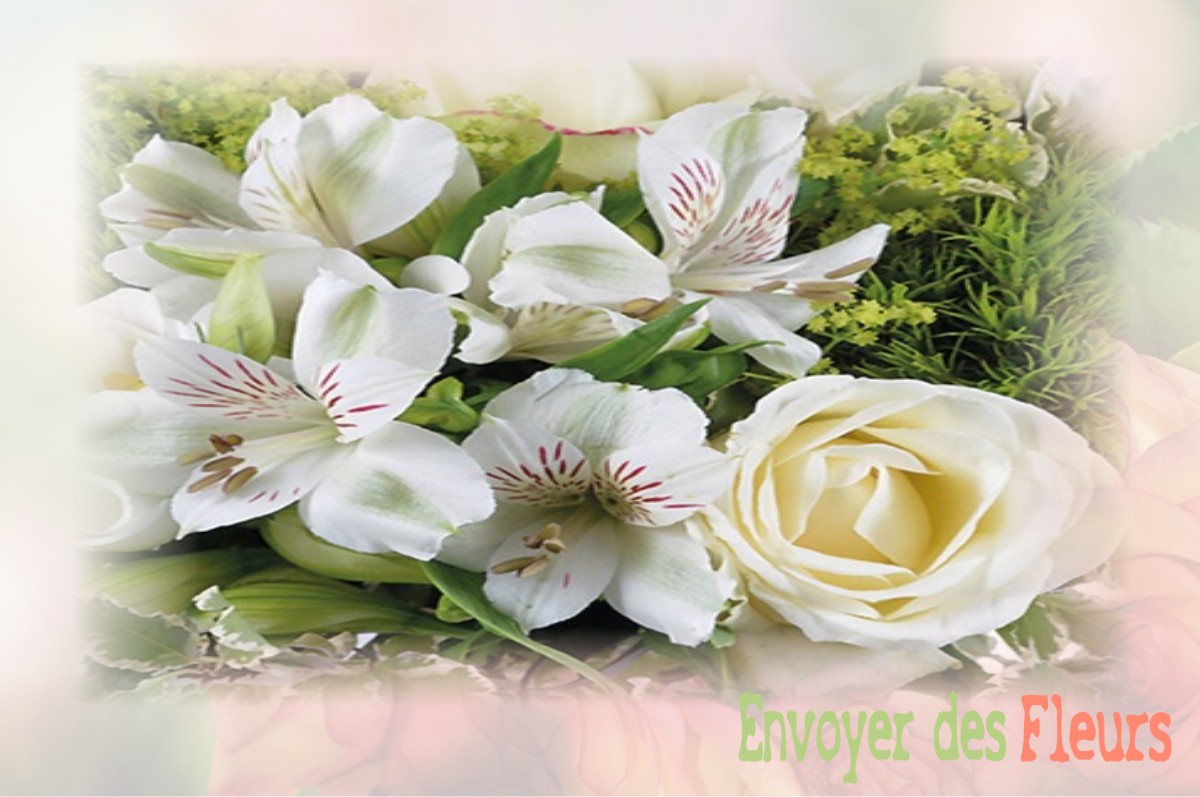 envoyer des fleurs à à SAVIGNAC-LES-ORMEAUX